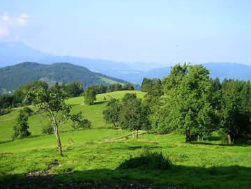 Bauernhof für 3 Personen in Weyregg am Attersee, Hausruckviertel, Bild 3