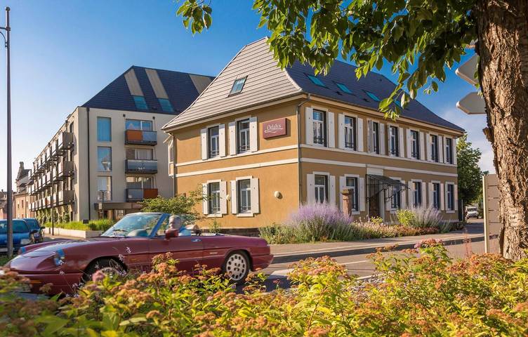 Ferienhaus für 4 Personen, mit Garten und Pool, mit Haustier in Colmar - 4