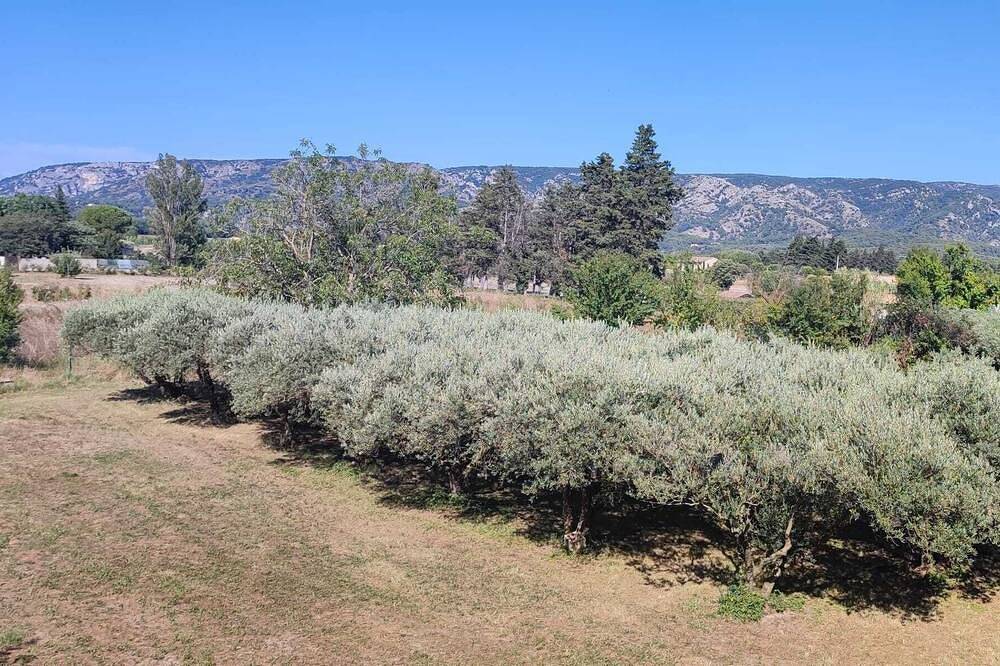 Quiet country house surrounded by olive trees, at the foot of the Luberon in Provence. in Cheval-Blanc, Parque natural regional del Luberon