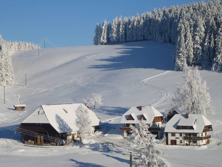 Entire apartment, Apartment "Pusteblume" with terrace & Wifi in Schollach (Eisenbach Hochschwarzwald), Eisenbach Hochschwarzwald