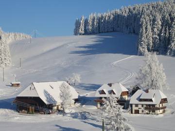 Holiday Apartment for 4 People in Eisenbach Hochschwarzwald, Baden Wuerttemberg, Photo 3
