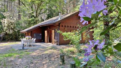 Gîte pour 4 personnes, avec jardin et terrasse à Lille (Belgique)