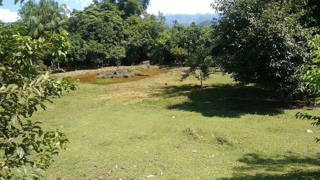 Standort und Grünfläche in Guapimirim, Rio de Janeiro (Bundesstaat)