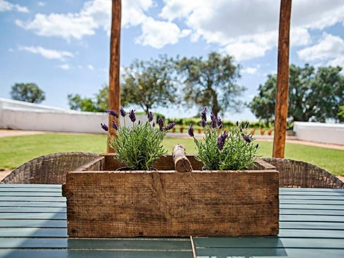 Vakantiehuis voor 11 personen, met zwembad en tuin in Silves