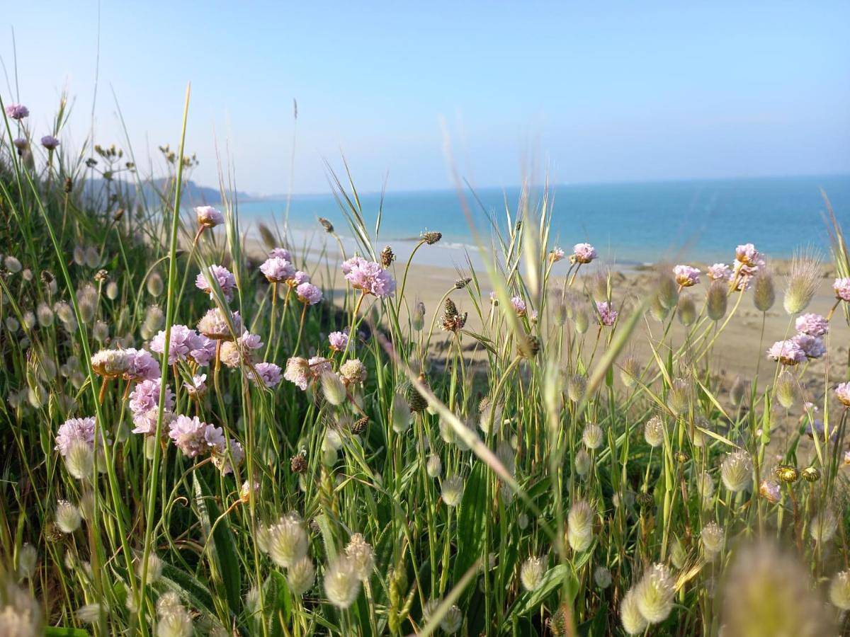 Appartement entier, Les Falaises, en plein cœur de Binic in Binic, Côte de Goëlo