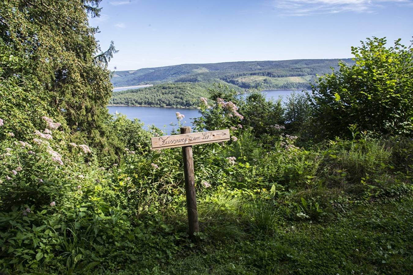 Waldhaus Anne in Nideggen, Naturpark Hohes Venn-Eifel