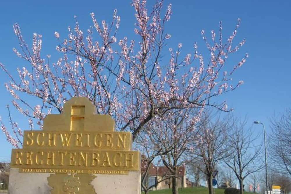 Entire apartment, Ferienwohnung Kerst, Deutschland in Schweigen-Rechtenbach, Südliche Weinstraße