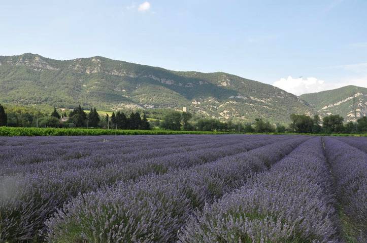 Location de vacances pour 9 personnes, avec jardin ainsi que piscine et vue à Roche-Saint-Secret-Béconne - 4