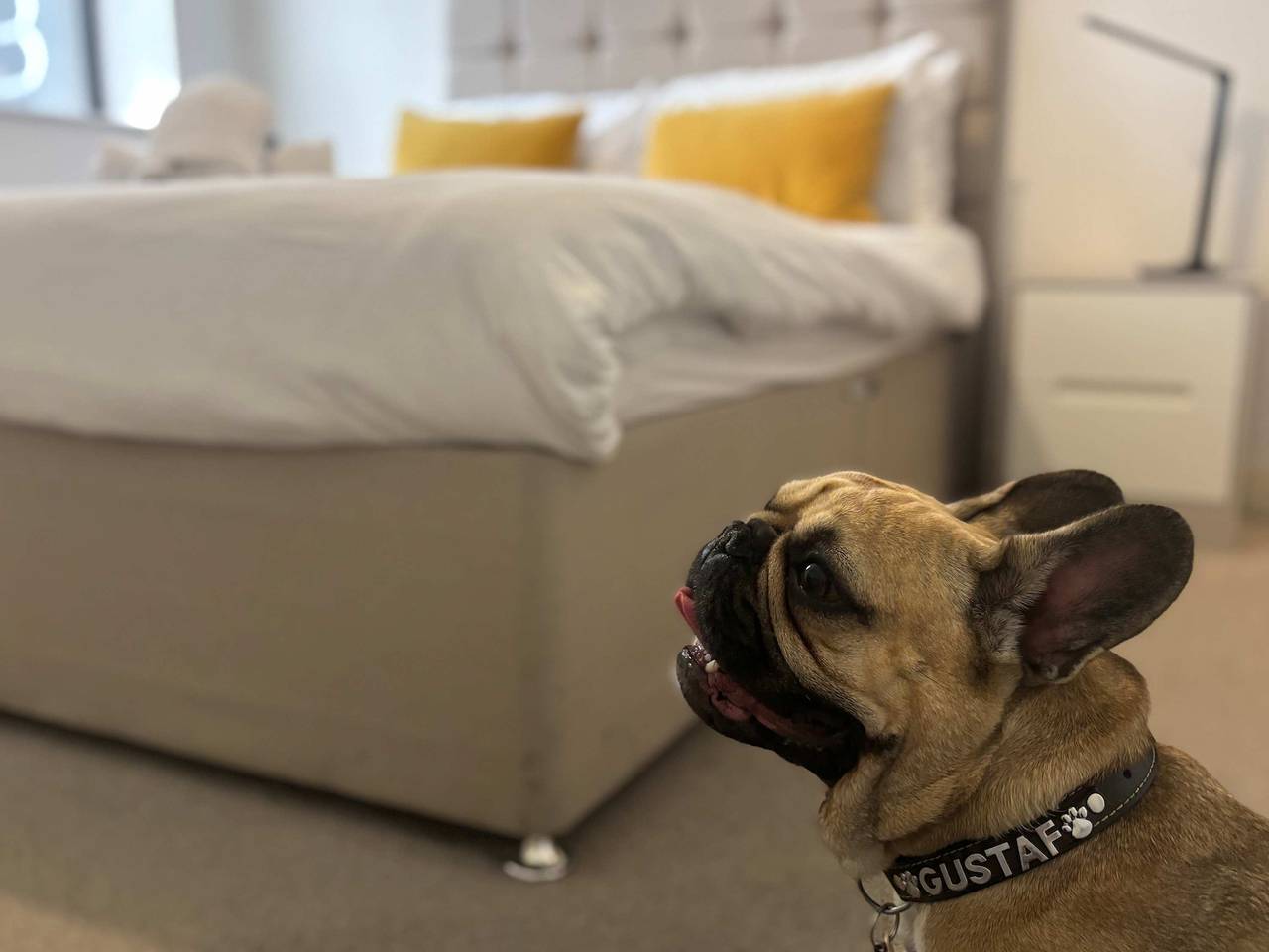 Entire apartment, Five Ways Modern 1 bed with Parking, pet-friendly in Birmingham, Birmingham Area