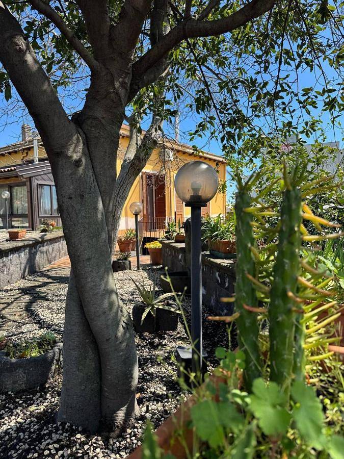 Zest House in Santa Venerina, Etna