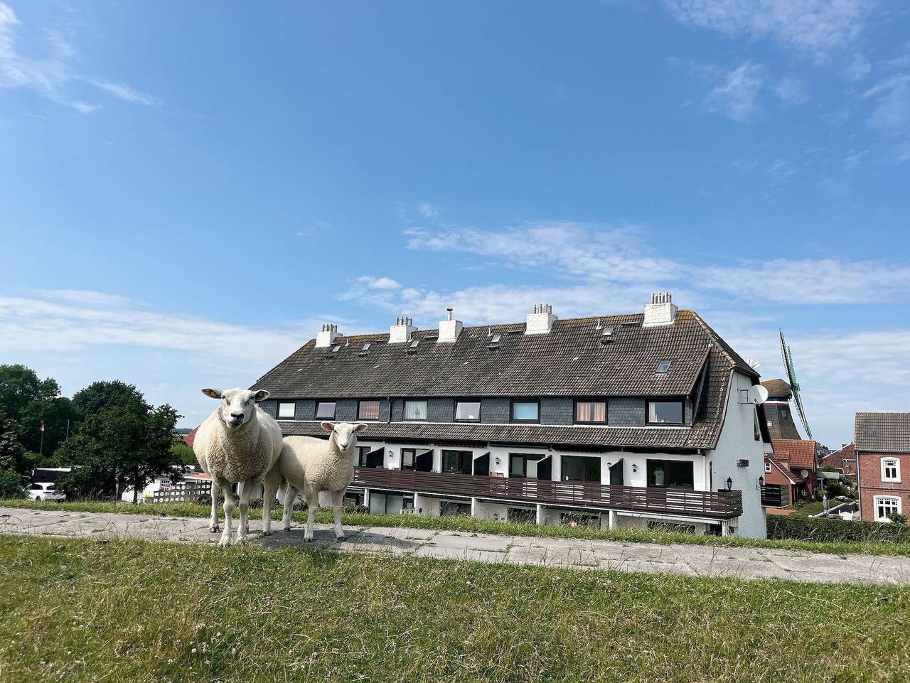 Ganze Ferienwohnung, Haus Lith - Fewo Strandläufer - Fewo Strandläufer in Nordstrand (Gemeinde), Nordstrand