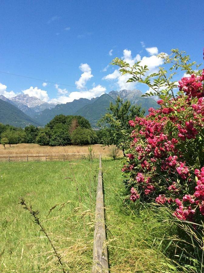 Il mondo roverso in Feltre, Cimonega-Gruppe