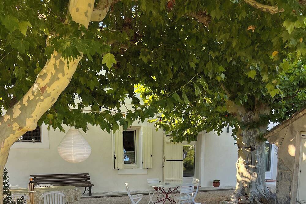 Provencal in Salon De Provence Kampagne in Salon-de-Provence, Mittelmeerküste (Frankreich)
