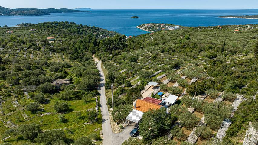 Villa pour 5 personnes, avec jardin ainsi que jacuzzi et terrasse à Vela Luka
