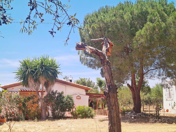 Holiday home for 4 people, with garden, with pets - 1