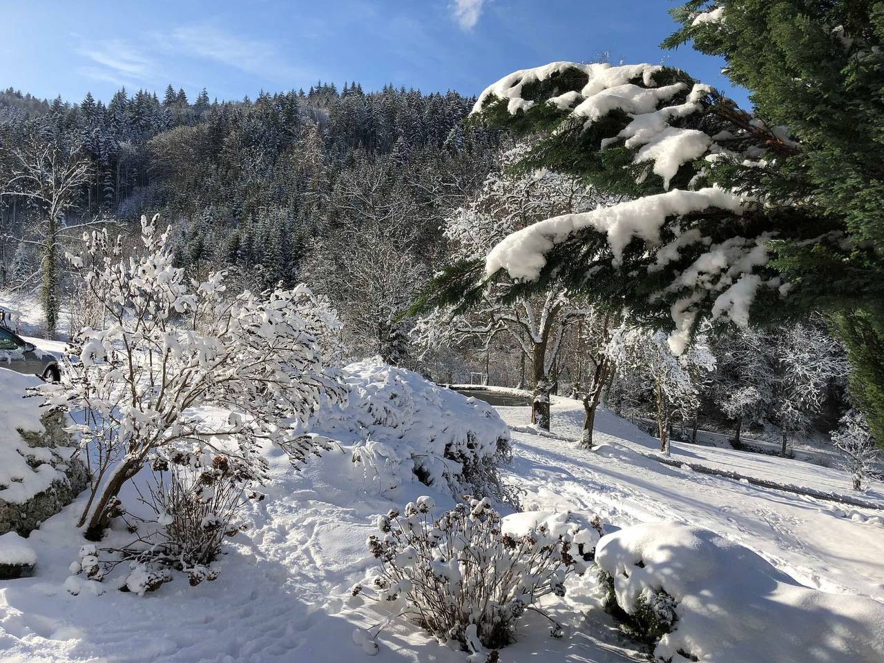 Langmichelhof - Ferienwohnung 32qm, 1 Wohn-/Schlafraum in Waldkirch, Südschwarzwald