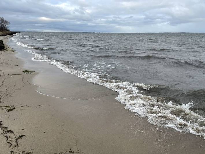 Ferienwohnung für 4 Personen, mit Garten am Greifswalder Bodden - 3