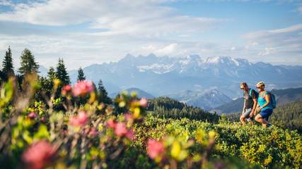 Ferienhaus für 8 Personen in Forstau, Ski Amadé, Bild 3