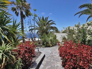 Chalet para 3 Personas en Los Llanos de Aridane, La Palma Sur, Foto 4