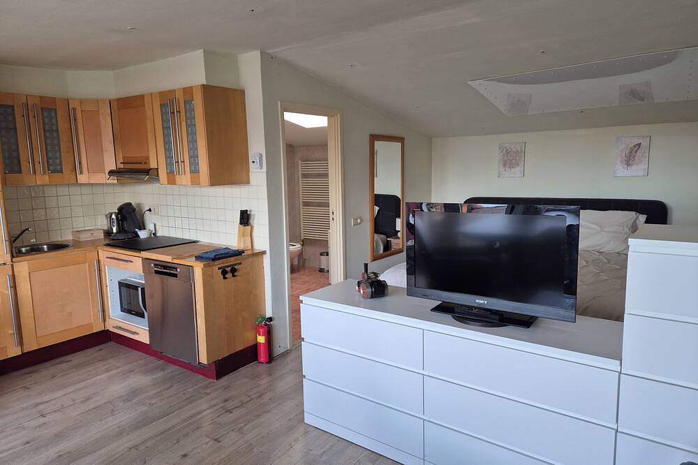 Ganze Wohnung, Alle sind exklusive Top Loft-Studio mit Dachterrasse in Dordrecht, Nationalpark De Biesbosch