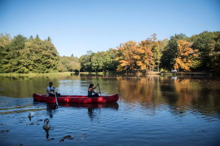 Cabane en bois pour 5 personnes, avec jardin, animaux acceptés en Dordogne - 2