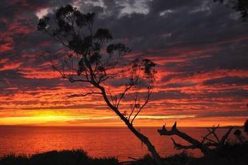 Vacation Home for 6 Guests in Santa Barbara, Santa Barbara County, Picture 1