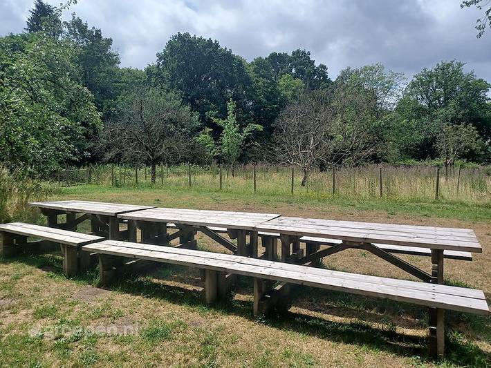 Ferienhaus für 44 Personen, mit Terrasse und Balkon/Terrasse in Belgien - 2