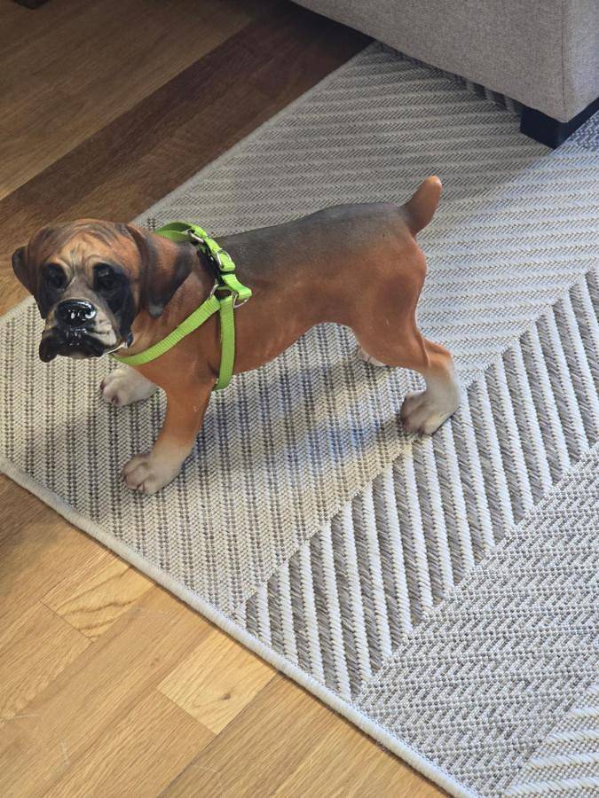 Gîte pour 6 personnes, avec balcon ainsi que vue et vue sur le lac, adapté aux familles à Vinuesa - 2