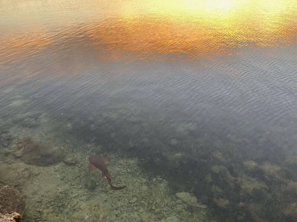 Ganze Wohnung, Hidden Gem Islamorada | 2nd Floor in Upper Matecumbe Key, Islamorada