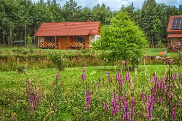 Domek letniskowy dla 8 osób, z ogród i widok na jezioro oraz widok w Pojezierze Iławskie