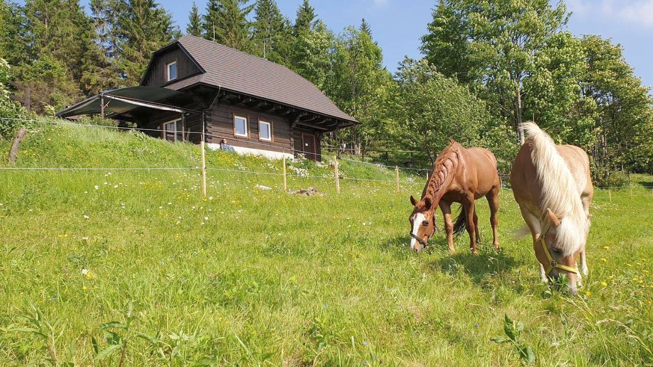 Chalet in Środkowa Słowacja