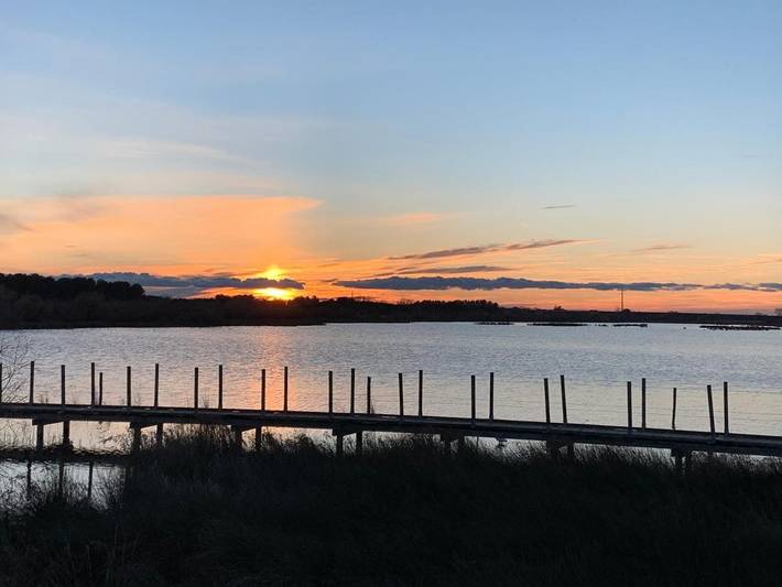Location de vacances pour 4 personnes, avec vue et terrasse dans Office de Tourisme d'Aigues-Mortes en Terre de Camargue - 3