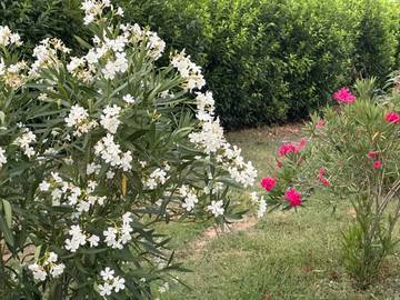 Gîte pour 10 personnes, avec jardin et piscine à Lisle-sur-Tarn
