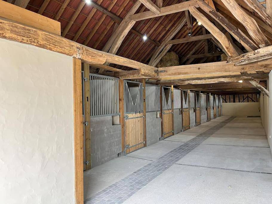 Six-Bedroom House in Chaumont-sur-Tharonne, Sologne