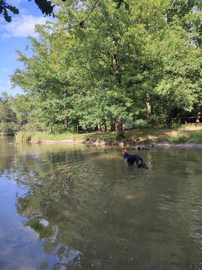 Location de vacances pour 7 personnes, avec jacuzzi et jardin, animaux acceptés à La Roche-Chalais - 2