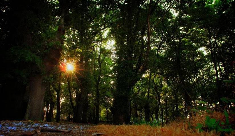 Location de vacances pour 7 personnes, avec vue et jardin, animaux acceptés à Guitiriz - 4