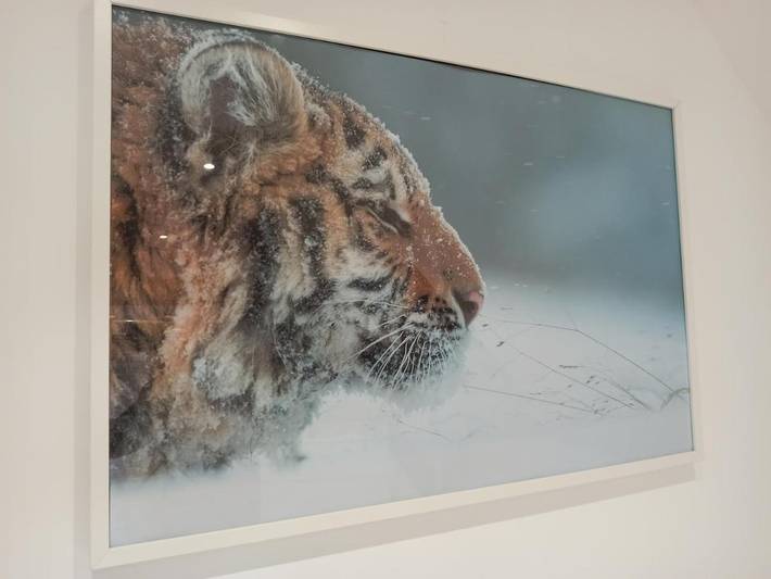 Gîte pour 2 personnes, avec terrasse, animaux acceptés à Saint-Aignan - 2