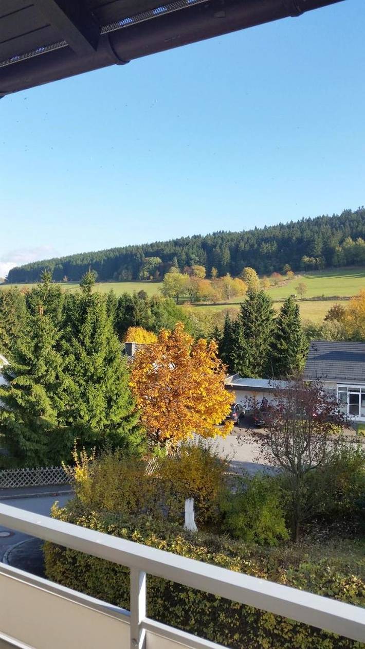 Ferienwohnung für 6 Personen, mit Ausblick und Garten sowie Sauna in Usseln