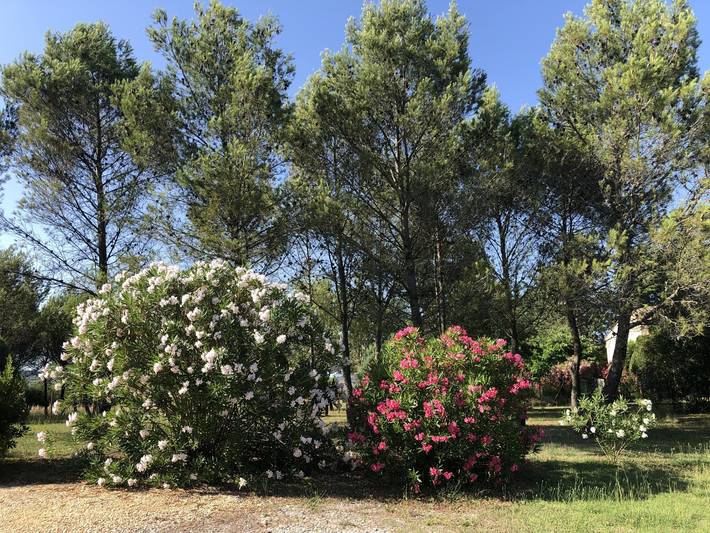 Location de vacances pour 6 personnes, avec jardin ainsi que piscine et terrasse à Saint-Julien-de-Cassagnas - 4