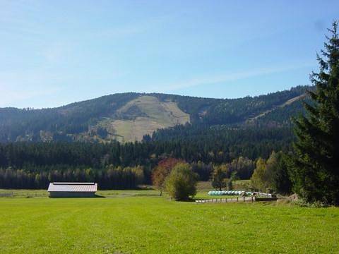 Ferienhaus für 4 Personen, mit Pool und Garten sowie Sauna, kinderfreundlich in Landkreis Regen - 3