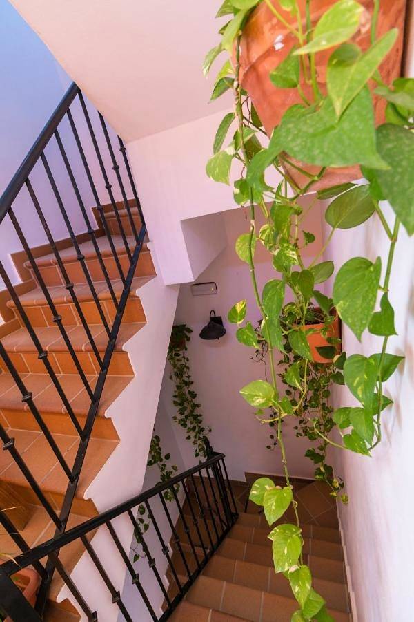 Casa de huéspuedes para 3 personas, con jardín, Familias con niños en Almonte - 4