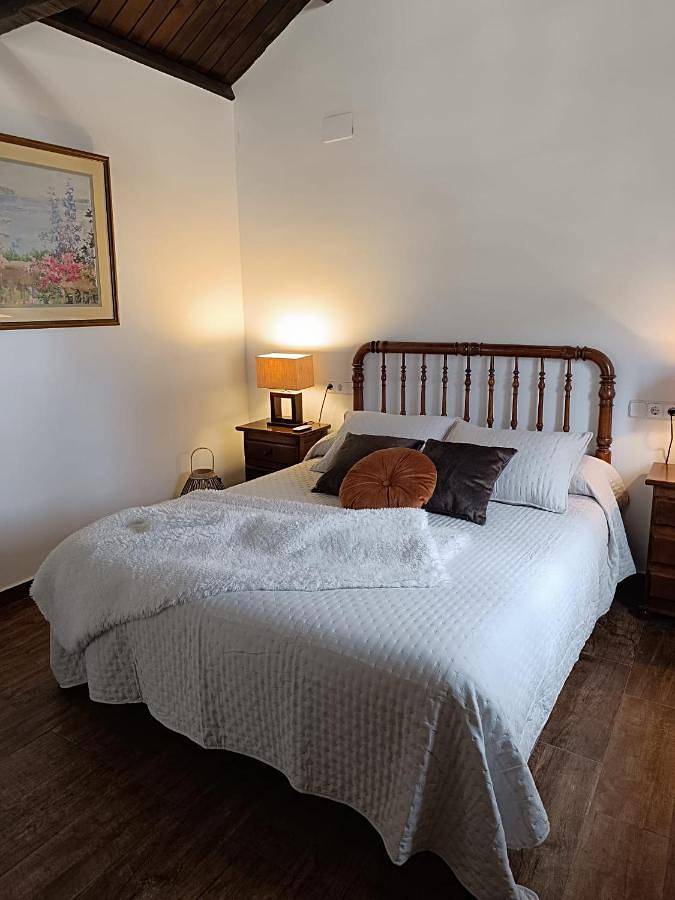 Casa de vacaciones para 12 personas, con jardín y piscina, Se admiten mascotas en Provincia de Toledo - 3