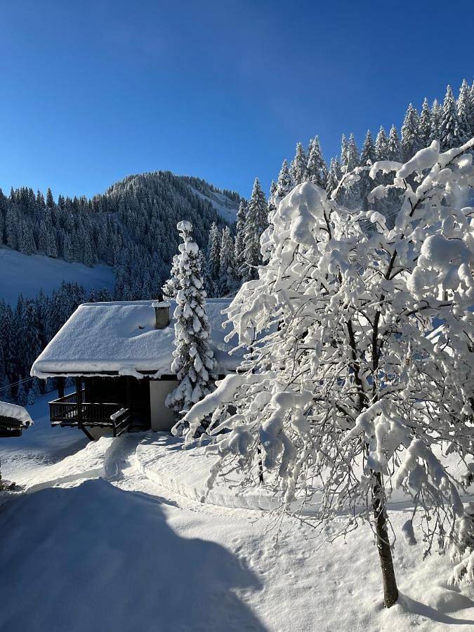 Gîte pour 4 personnes, avec vue et jardin dans Champoussin - 3