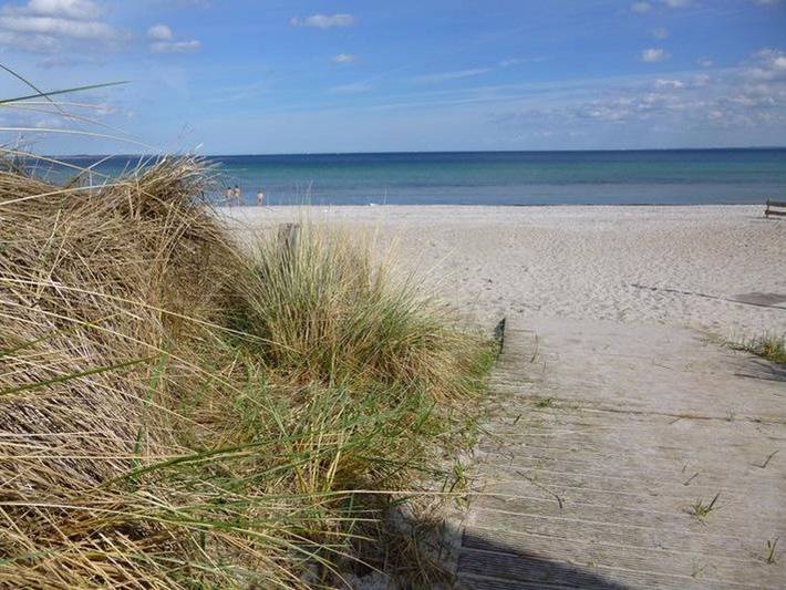Ferienwohnung für 2 Personen, mit Garten und Terrasse, mit Haustier in Haffkrug - 4