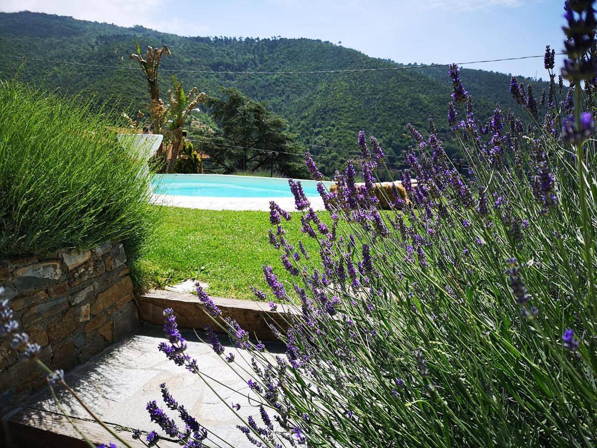 Appartement entier, Agriturismo Cà Dü Nonu in Vallebona, Riviera di Ponente