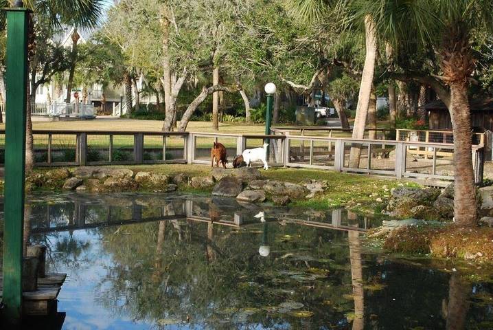 Vacation rental for 8 people, with pool and terrace as well as hot tub and sauna, with pets in Steinhatchee