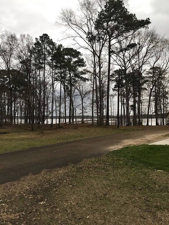 \"Lake Life\" - Sam Rayburn in Sam Rayburn Reservoir