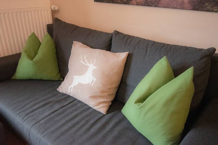Ganze Wohnung, Hochkönig 4 Apartment in Hohe Tauern, Lend