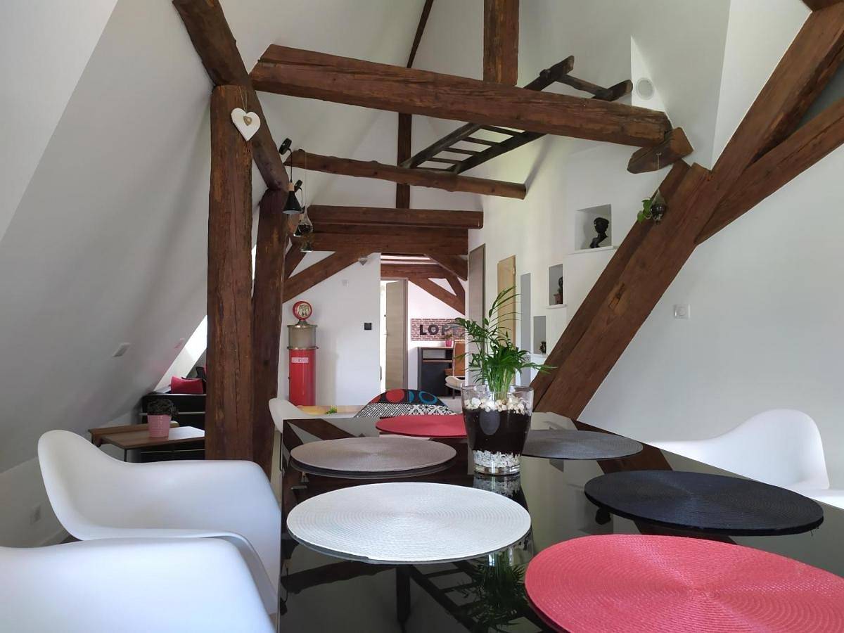 Appartement entier, Apartment - La Grande Terrine in Kaysersberg, Parc naturel régional des Ballons des Vosges