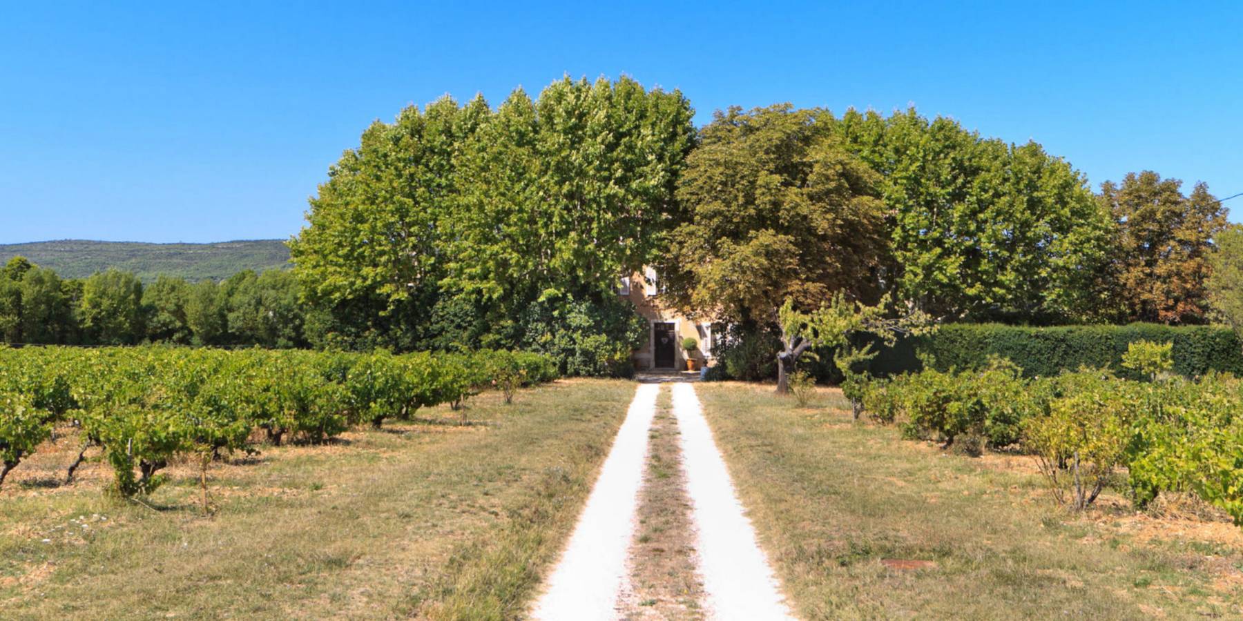 B&b Chambres d'Hôtes Authentique Bastide typiquement Provençale in Brignoles, Région De Brignoles